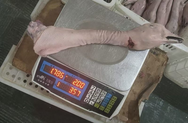 鹅头脖