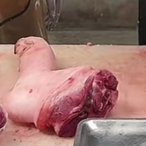 猪肉