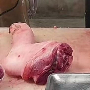 猪肉