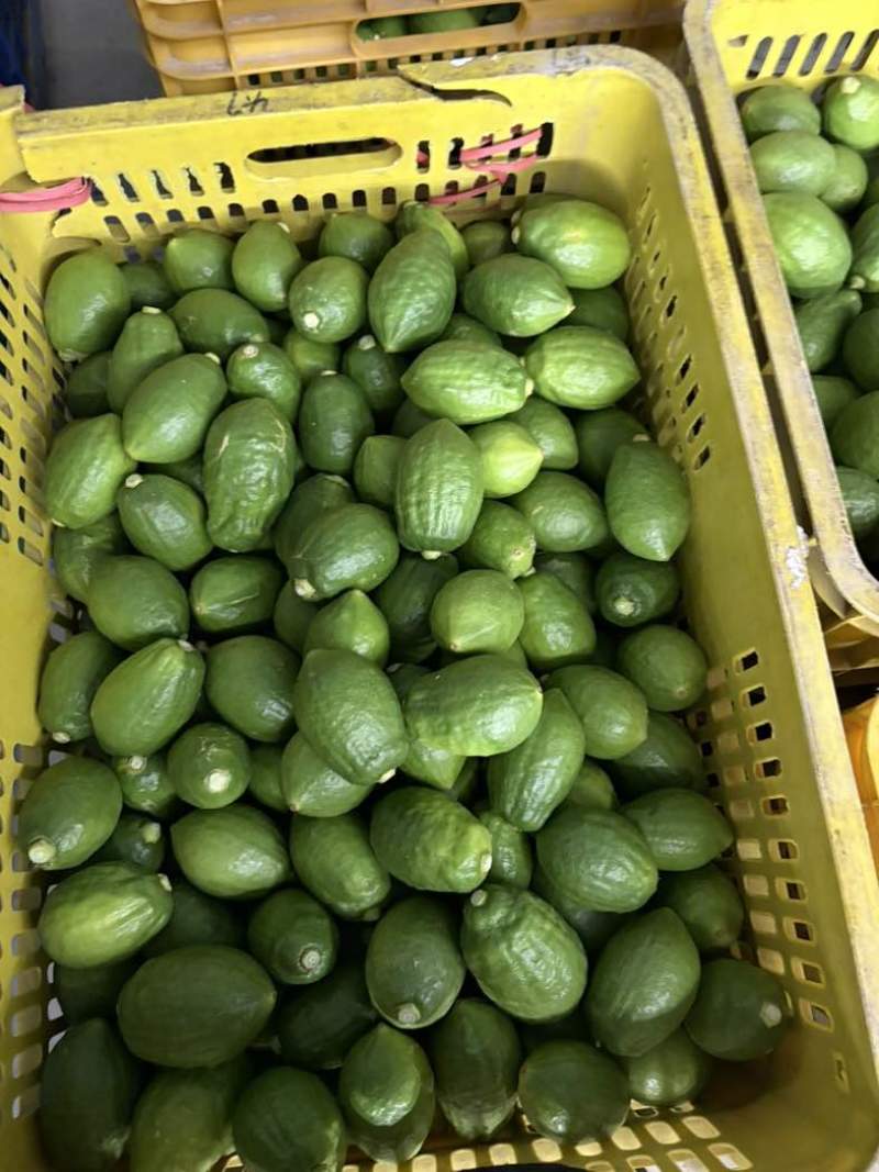 广东香水柠檬