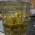 永顺莓茶