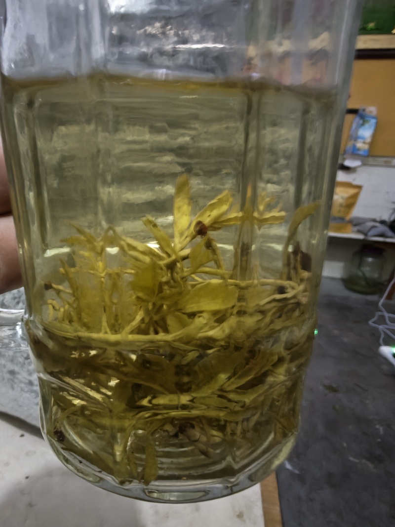 永顺莓茶