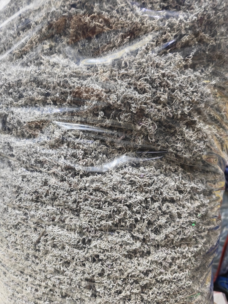 永顺莓茶