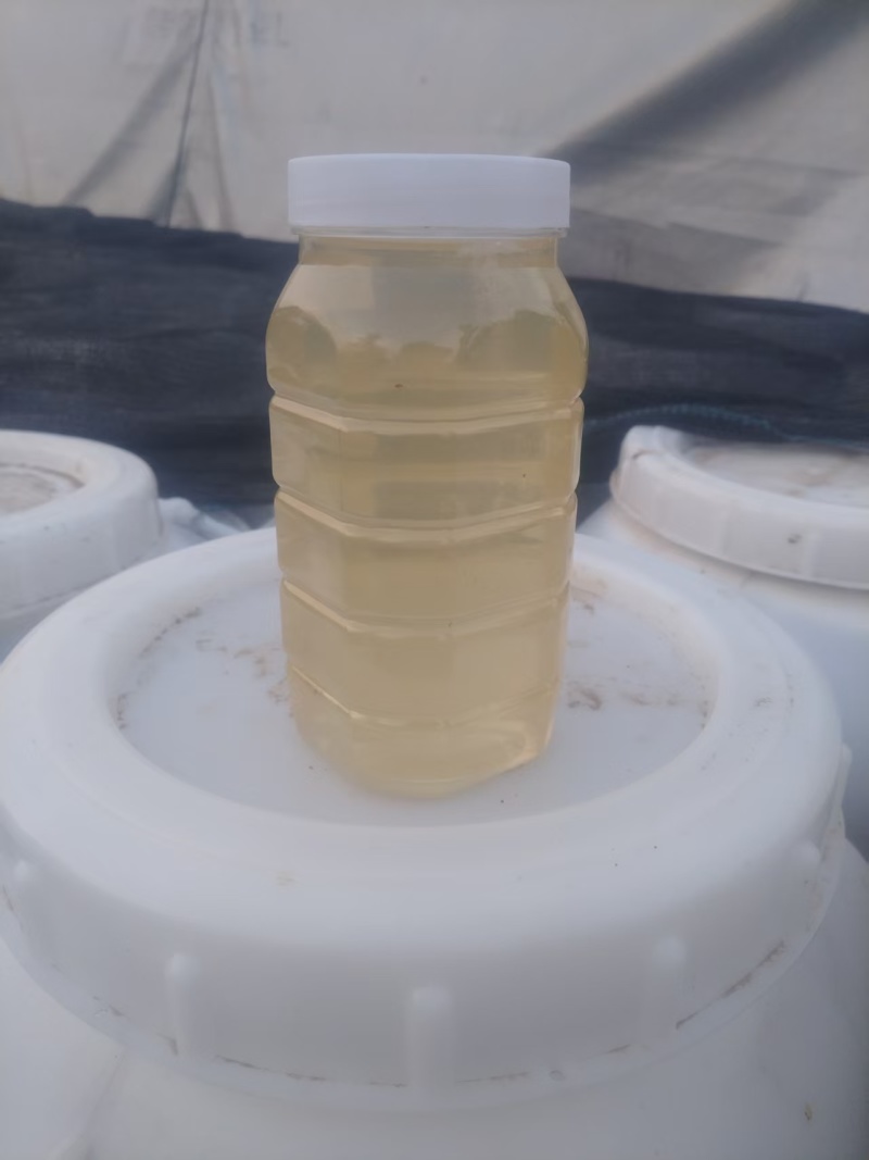 ***土蜂蜜