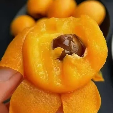 云南大五星枇杷