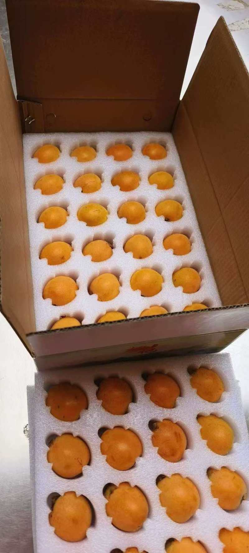 云南大五星枇杷