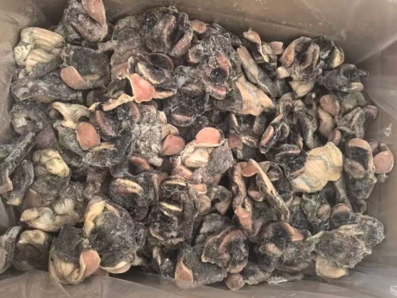 乌鸡胗单冻