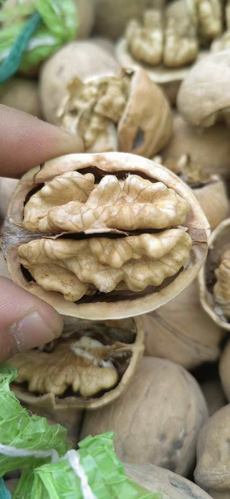 核桃