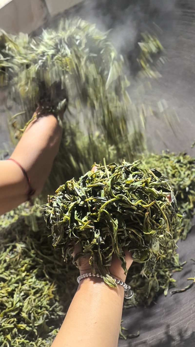 2025年一芽二叶春茶晒青毛茶600公斤