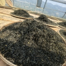 2025年一芽二叶春茶晒青毛茶600公斤