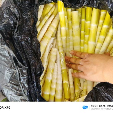 清水笋也做好
