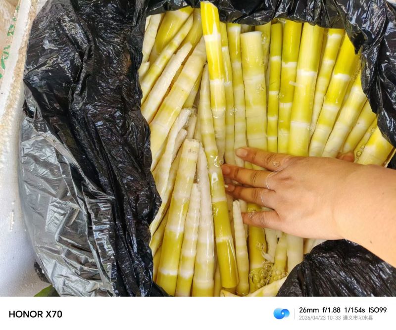 清水笋也做好