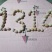 乌蒙山区土鸡蛋