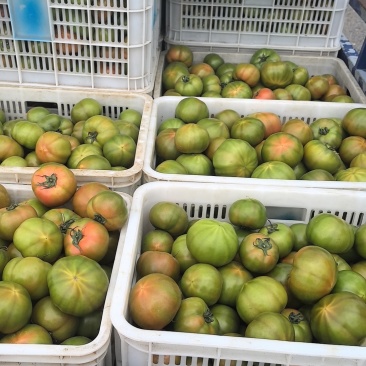 拉唯纳