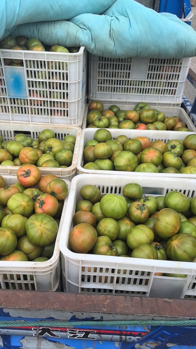 拉唯纳