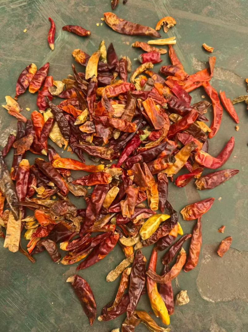 各种干辣椒，辣椒段