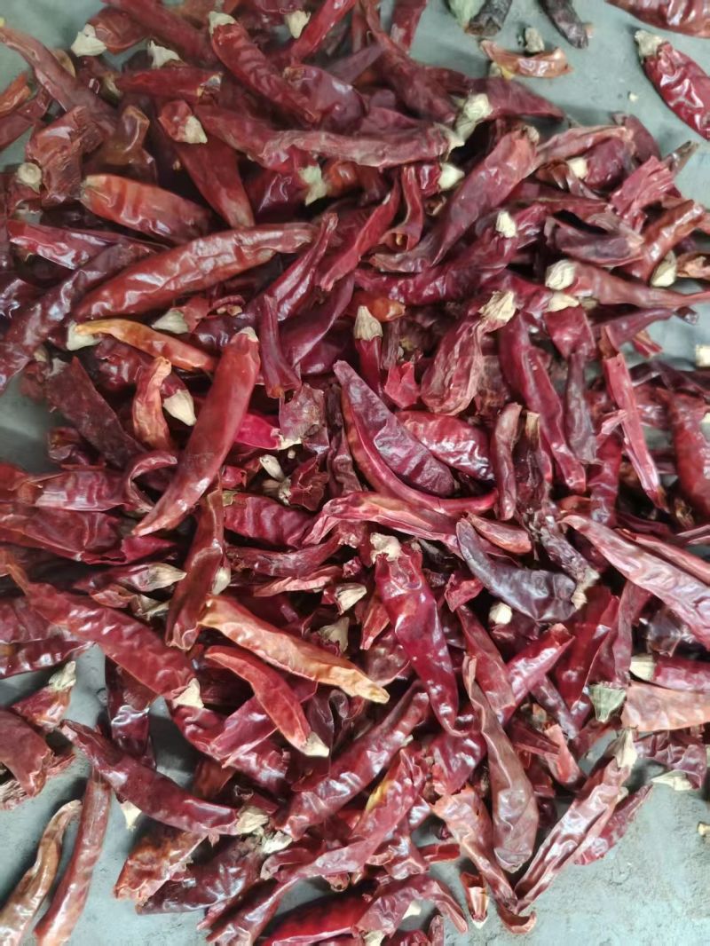 各种干辣椒，辣椒段