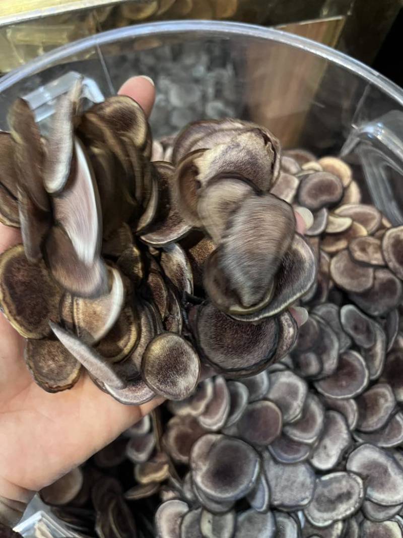 长期批发鹿茸