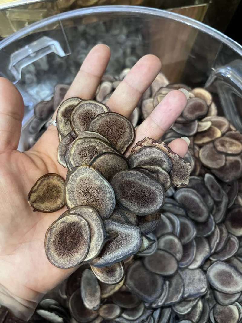 长期批发鹿茸