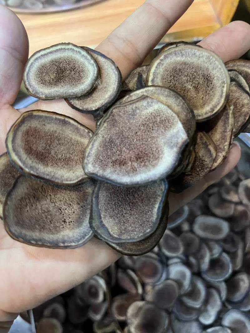 长期批发鹿茸