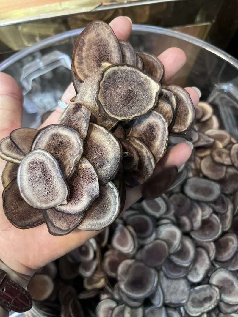 长期批发鹿茸