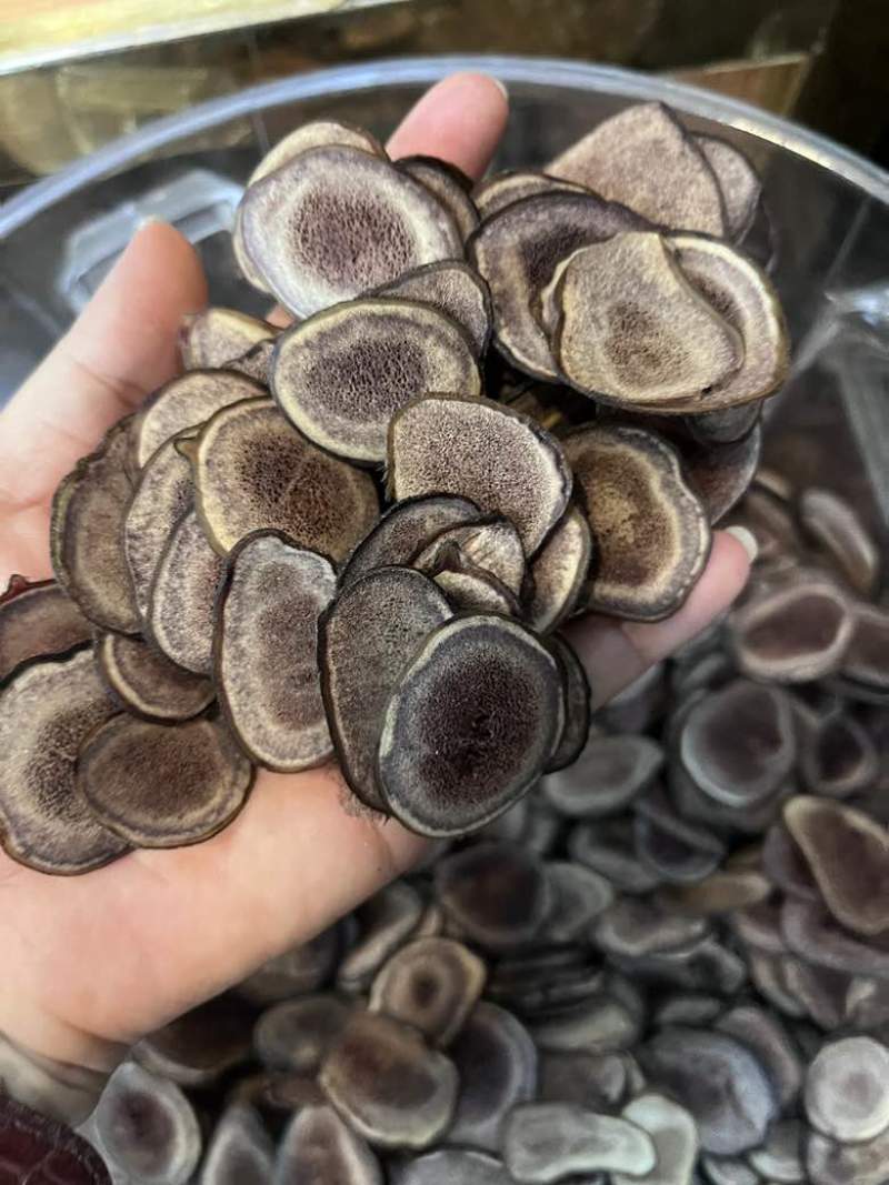 长期批发鹿茸