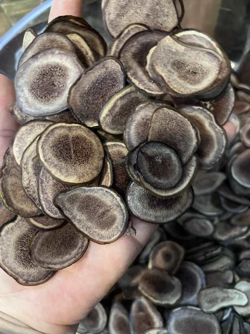 长期批发鹿茸