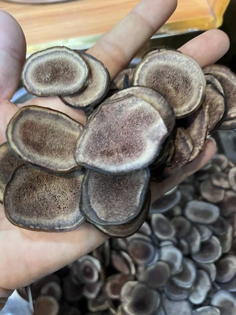长期批发鹿茸