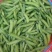 河南青豌豆大量上市中
