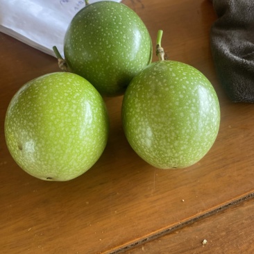 百香果