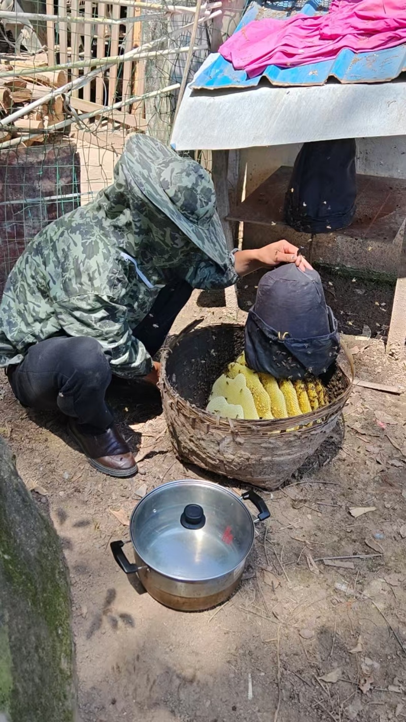 农家土蜂蜜