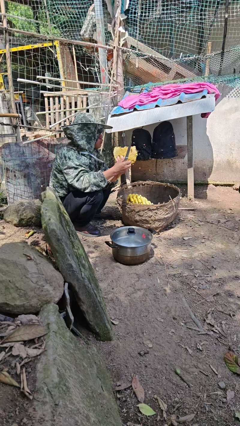 农家土蜂蜜