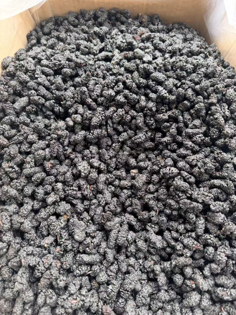 攀枝花盐边黑桑葚干，干净无沙，大量现货