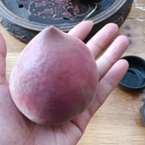 云南红宝石桃子