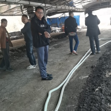 我想卖蚯蚓