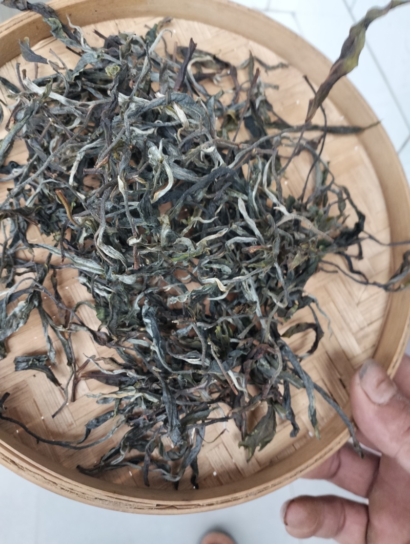 临沧普洱茶
