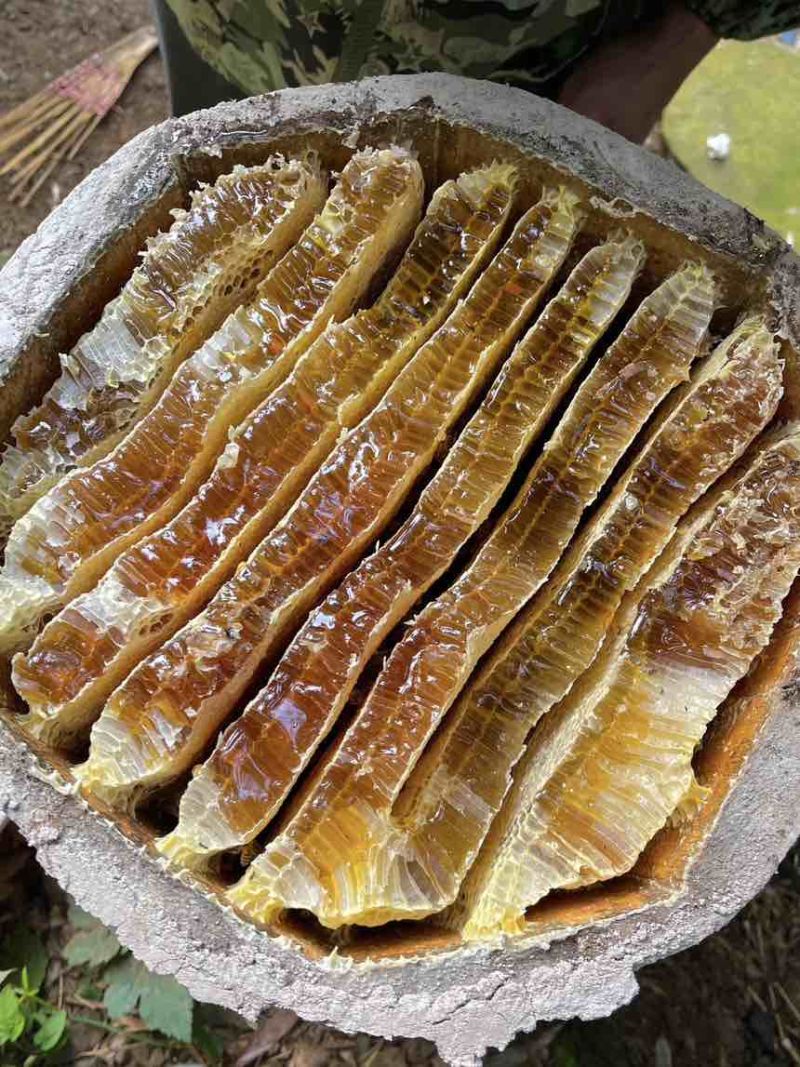 农家深山悬崖土蜂蜜古一年只取一次古法压榨假一赔十
