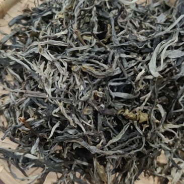 巴达山茶王地古树茶
