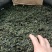贵州凤冈富硒绿茶