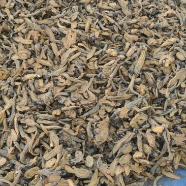 大黄切片干货