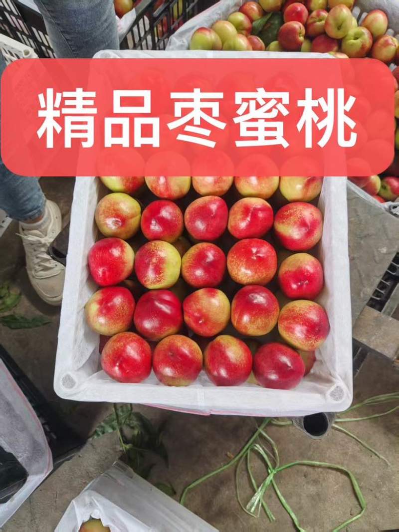 精品枣蜜桃