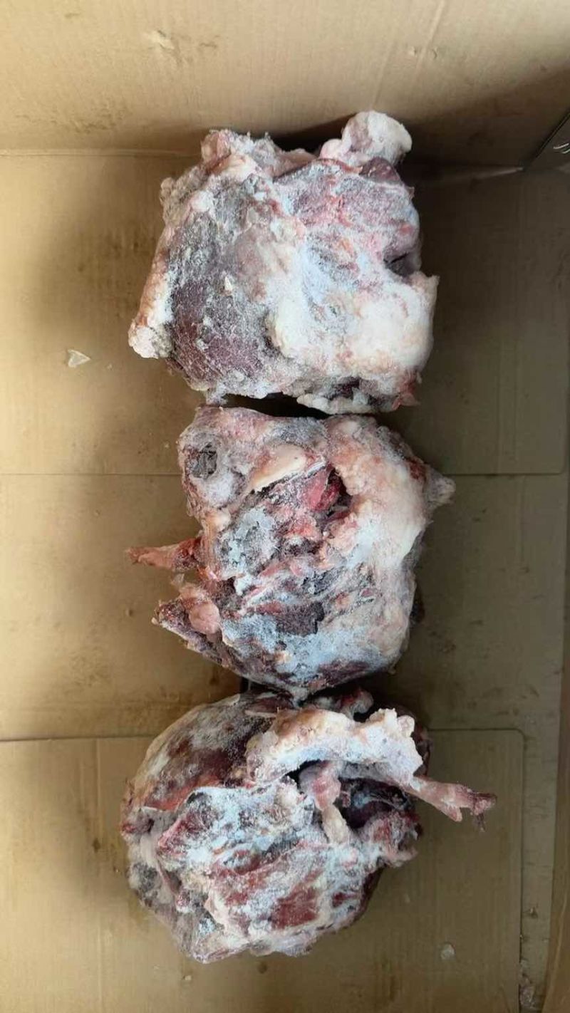 核桃肉《猪头分割》工厂直销解冻即用