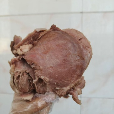 核桃肉《猪头分割》工厂直销解冻即用