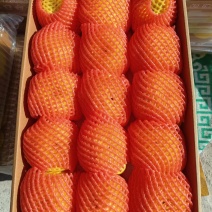 山东烟台苹果（奶油富士）