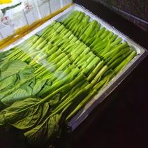 精品广东菜心，介兰都已上市，有需要的老板可以联系我