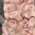 拱嘴《猪头肉》随时可聊全国供应一手货源猪头肉优质直供
