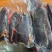 香格里拉正宗牦牛肉