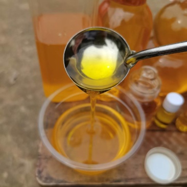 广西高山茶油