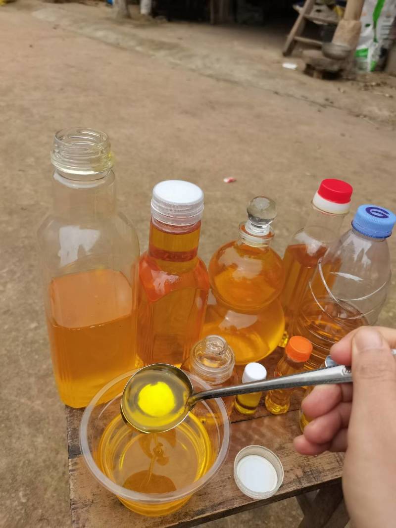 广西高山茶油