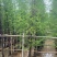 水衫3-25分，基地直销，一手货源，大量现货出售，欢迎选购